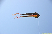 32 FESTIVAL CERVIA 2012 - 049